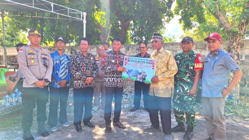 Sambut Idul Adha 1446 H, Bupati Rote Ndao Simbolis Menyerahkan Hewan Kurban