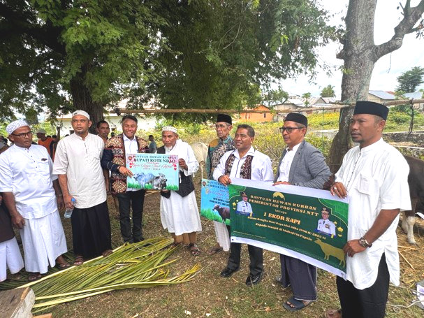 Pemprov NTT dan Pemkab Rote Ndao Menyalurkan Bantuan Hewan Kurban Pada Perayaan Idul Adha 1446 H